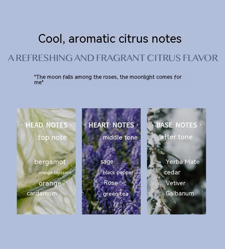 Aromatic citrus perfume | Fresh citrus fragrance | Citrus scent perfume | Zesty aromatic perfume | Uplifting citrus cologne | Natural citrus perfume | Vibrant citrus fragrance | Refreshing citrus perfume | Citrus essential oil perfume | Energizing citrus scent